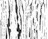 TEXTURE
